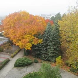 Hunguest Hotel Répce Bük, Bükfürd? - Medence/kert