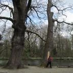 Hotel Viktória Sárvár - Környék