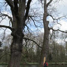 Hotel Viktória Sárvár - Környék