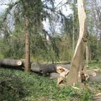 Hotel Viktória Sárvár - Környék