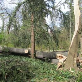 Hotel Viktória Sárvár - Környék