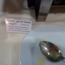 Hungarospa Thermal Hotel Hajdúszoboszló - Vendéglátás