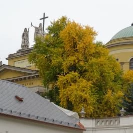 St. Kristóf Panzió Eger - Környék