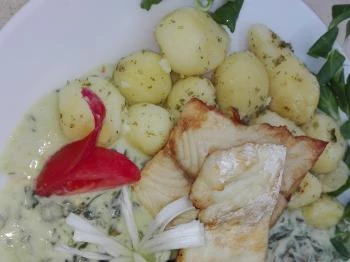 Rétes Étterem Vonyarcvashegy