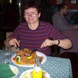 Vendéglő a Régi Hídhoz Szeged - Egyéb