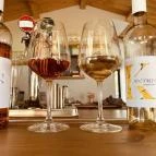 Szerinted? Balatonőszöd - Egyéb