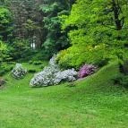 Azáleás-völgy Zalaegerszeg - Egyéb