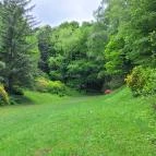 Azáleás-völgy Zalaegerszeg - Egyéb