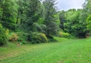 Azáleás-völgy Zalaegerszeg