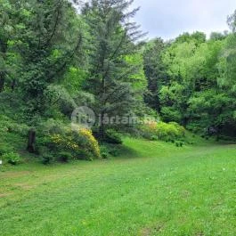 Azáleás-völgy Zalaegerszeg - Egyéb