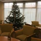 Hotel Szieszta Sopron - Belső