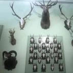 Szabadkígyósi Wenckheim-kastély Szabadkígyós - Belső