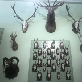 Szabadkígyósi Wenckheim-kastély Szabadkígyós - Belső