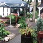 Öreg-tó Hotel Tata - Medence/kert