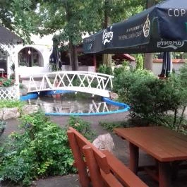 Öreg-tó Hotel, Tata - Medence/kert