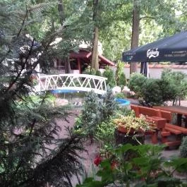 Öreg-tó Hotel, Tata - Medence/kert