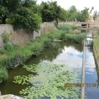 Öreg-tó Hotel Tata - Környék