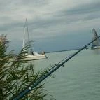 Hotel Uni Balatonfüred - Környék