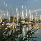 Hotel Uni Balatonfüred - Környék