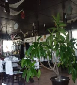 Tassi Halászcsárda