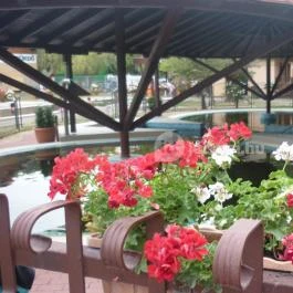 Hotel Kamilla, Balmazújváros - Medence/kert