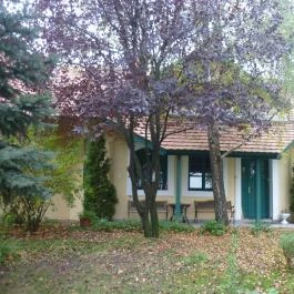 Vadvirágos Pihenőhely, Mórahalom - Külső kép