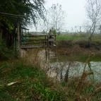 Vadvirágos Pihenőhely Mórahalom - Környék