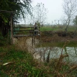Vadvirágos Pihenőhely, Mórahalom - Környék