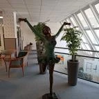 Thermal Hotel Superior Mosonmagyaróvár Mosonmagyaróvár - Egyéb