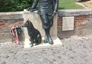 Fekete István Mosonmagyaróvár