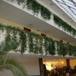 Belenus Thermalhotel Superior Zalakaros - Belső