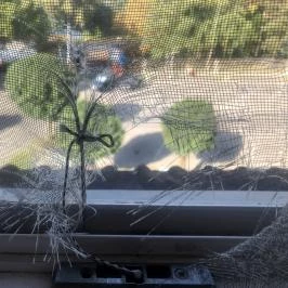 Park Hotel Harkany Harkány - Egyéb