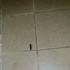 Park Hotel Harkany Harkány - Egyéb