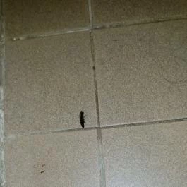 Park Hotel Harkany, Harkány - Egyéb