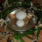 Harapó Mókus Vendéglő Budapest - Belső