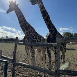Richter Safari Park Nagykőrös - Egyéb