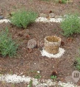 Antalhegyi MEDOSZ Vendégház