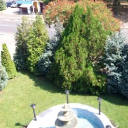 Parish Bull Hotel, Kisvárda - Medence/kert