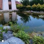 Hotel Caramell Mandala étterem Bük, Bükfürd? - Egyéb