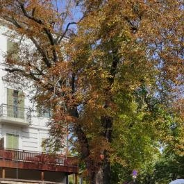 Danubius Hotel Marina, Balatonfüred - Egyéb