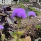 Thermál Park Hotel Egerszalók - Egyéb