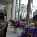 CE Plaza Hotel Siófok - Egyéb