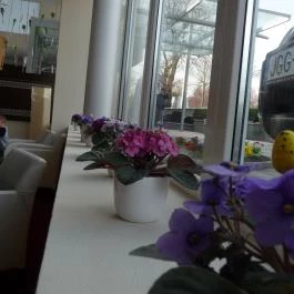 CE Plaza Hotel Siófok - Egyéb