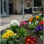 CE Plaza Hotel Siófok - Medence/kert