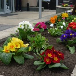 CE Plaza Hotel Siófok - Medence/kert