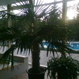 Calimbra Konferencia & Wellness Hotel Miskolctapolca - Wellness