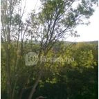 Calimbra Konferencia & Wellness Hotel Miskolctapolca - Környék