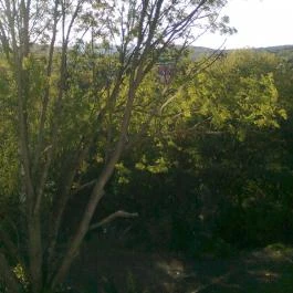 Calimbra Konferencia & Wellness Hotel Miskolctapolca - Környék