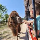 Richter Safari Park Nagykőrös - Külső kép