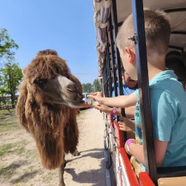 Richter Safari Park, Nagykőrös - Külső kép